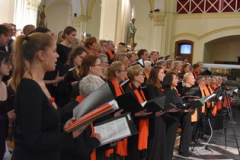 Concert-30-ans-orgue-Saint-Luc-LLL_22