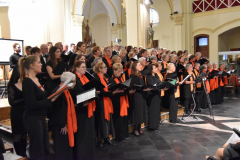 Concert-30-ans-orgue-Saint-Luc-LLL_23